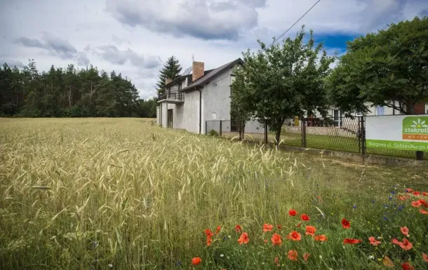 Jurajskie Pokoje Pod Lasem