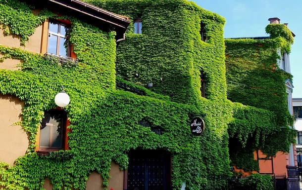 HostelsarboD