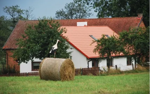 Agroturystyka Na Mazurach